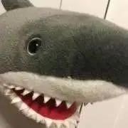 サメハダー