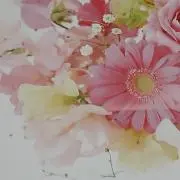 スイートピーの画像