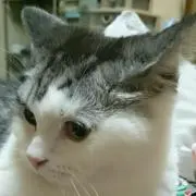 ジェイソン