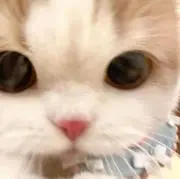 ゆ