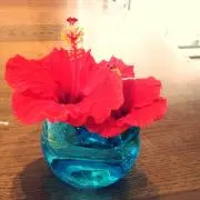 カンニャゴ♡の画像