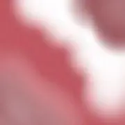 メメの画像