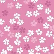 ⭐️nat⭐️即購入OKです(^^)の画像