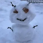 Popo