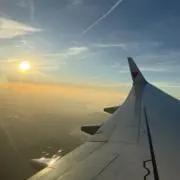 りんごの画像