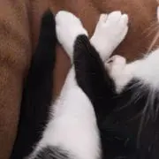 Moonの画像