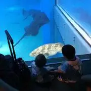 ユウMAMA