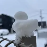 はる　80 90サイズ整理中の画像