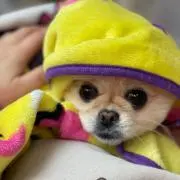 めぐみ