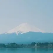 さなぴーの画像