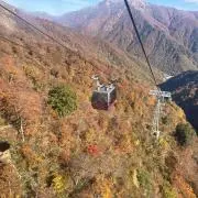 モンキーの画像