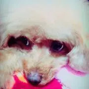 Hanna