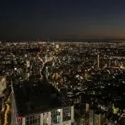 ぽむの画像
