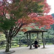 NANAの画像
