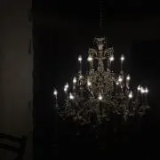 ポッピーの画像