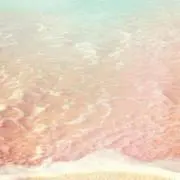 やきいもの画像