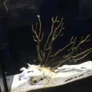 yuka即購入okの画像