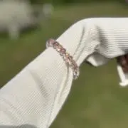 ぶぶんの画像