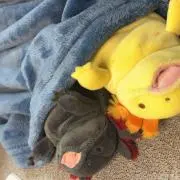 のぷさん#プロフィール必読の画像