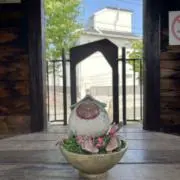 キムの画像