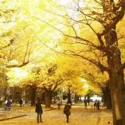 ながてぃーの画像