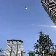 Lee様 専用 購入しないで下さい！ - メルカリ