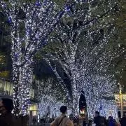 ぴょんの画像