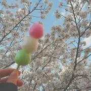 ニカの画像