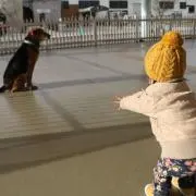 cream 絶賛断捨離中！