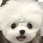 mの画像