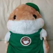 くーちゃんの画像