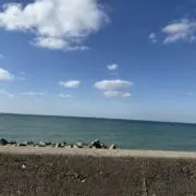 ぽんずの画像