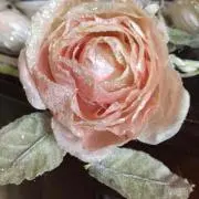 ロココ ☆☆プロフ一読お願い致します☆☆の画像