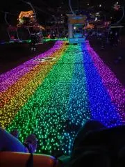 ゆみの画像