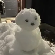 ブリオの画像
