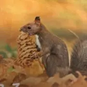 ろんりさんの画像