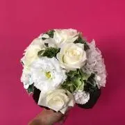 ナガヨ