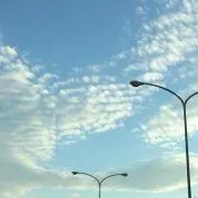 ま〜ぼの画像