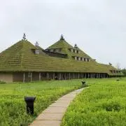 suika-tree