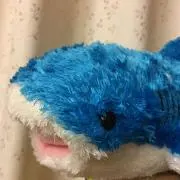 houkyu