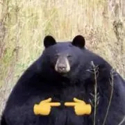 ハイゼンベルクの画像