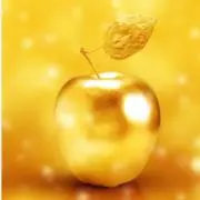 taracoの画像