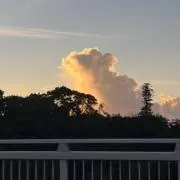 ママ子の画像