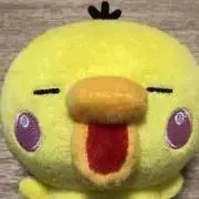ayaponの画像