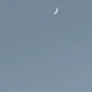 ろにここの画像