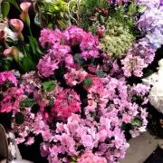 ネロ