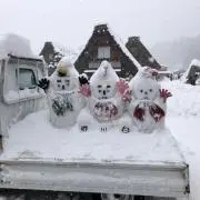 ヒロの画像