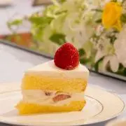 sonaの画像