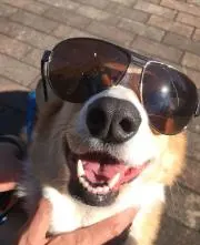 マッハの画像