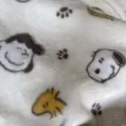 おまめちゃんの画像
